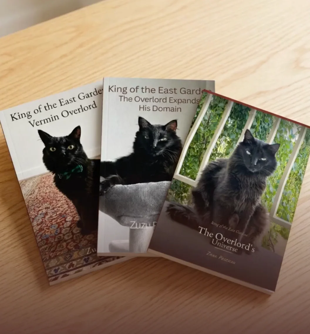 The printed volumes of Adventures of Zuzu Pazzuzu